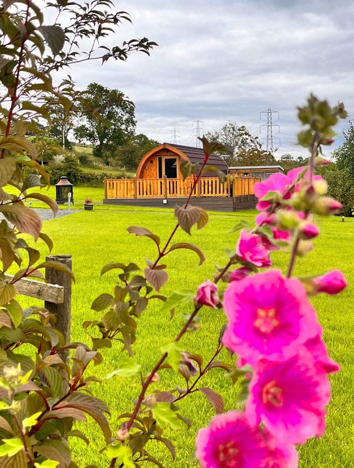 Cairnfold Cabins Kilsyth Bagian luar foto